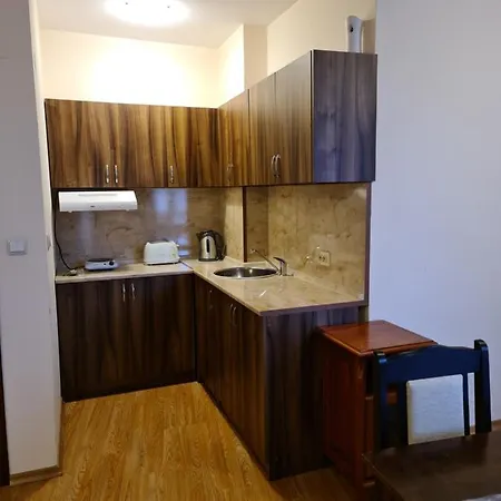 Pirin Palace 반스코